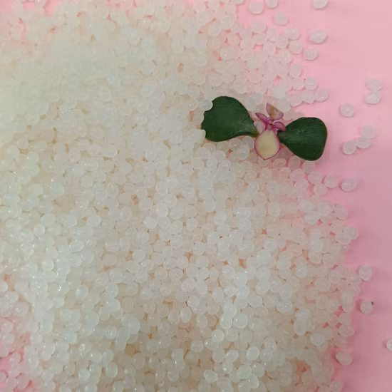 Guorarn Biologisch abbaubarer PLA Pbat Schwarzer kompostierbarer Kunststoff T